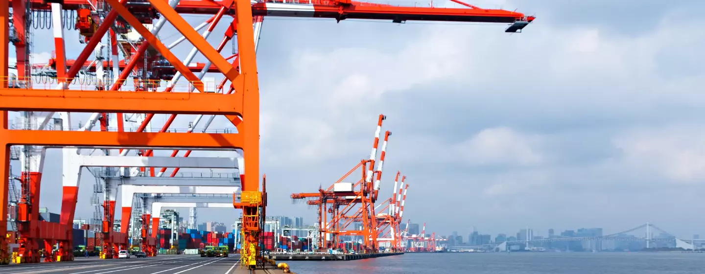 Container terminal at harbour showing cranes