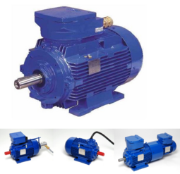 Product Flameproof Electrical Motors
